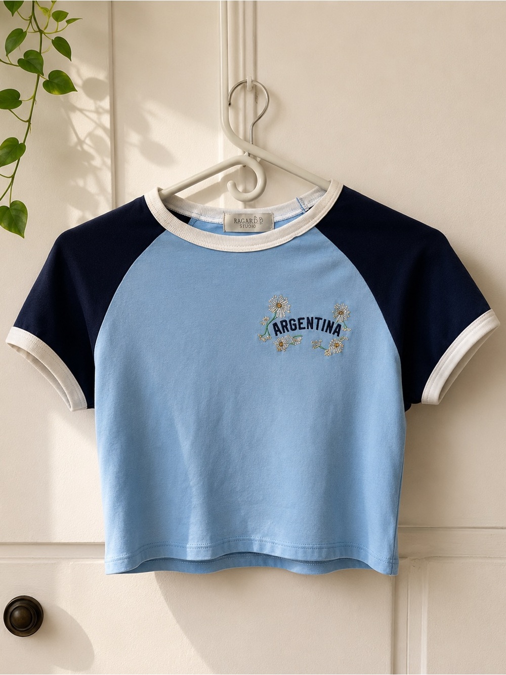 Free People Argentina Raglan Crop Top - Light Blue & Navy